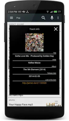 MP3 Music Downloader android App screenshot 8